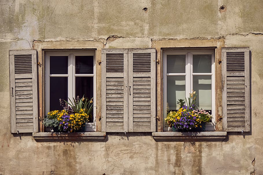 window, flowers, shutter, wood, decoration, bloom, old, beautiful, flower box, house