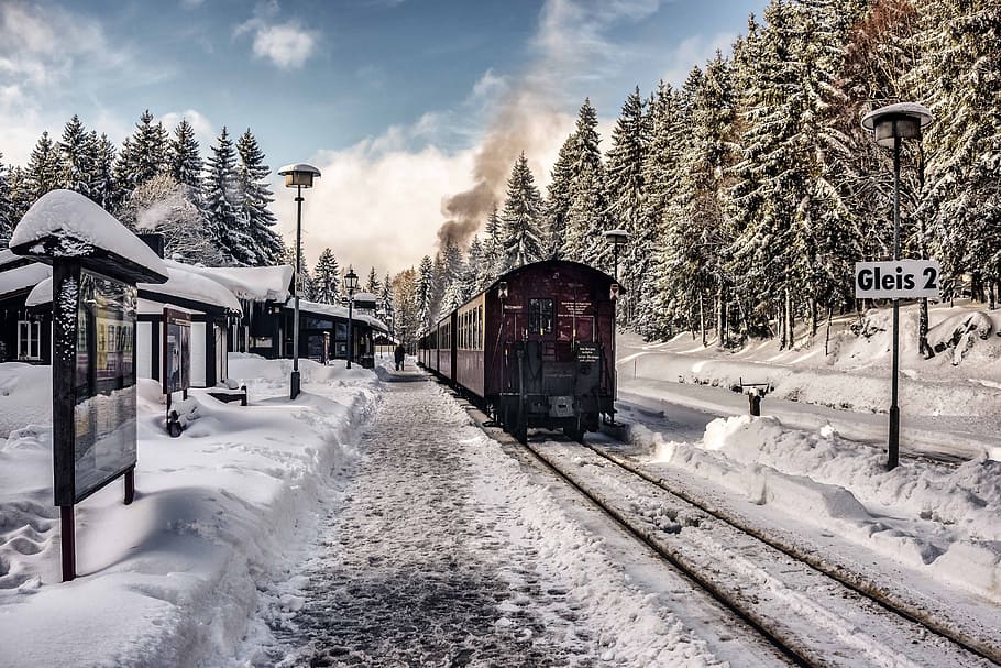 brown, train, rail, running, pine trees, daytime, snow, winter, christmas, nature