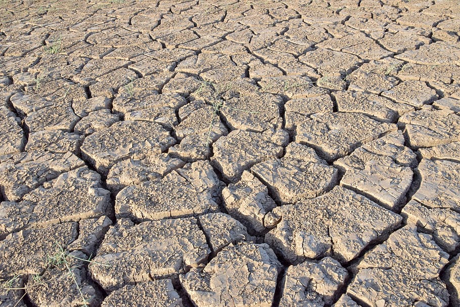 mud, africa, nature, brownie, lake bed, arid climate, climate, drought, cracked, dry