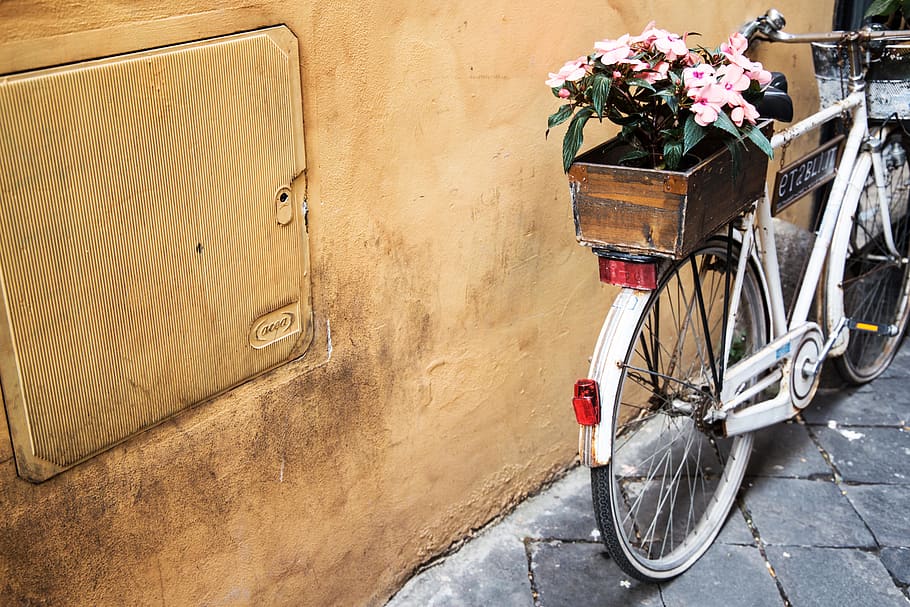 still, items, things, transportation, bicycle, wheels, flowers, pot, box, concrete