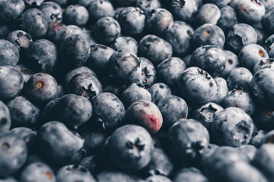 blueberry, berry, buah-buahan, sehat, makanan, makanan dan minuman, makan sehat, buah, kesejahteraan, kesegaran