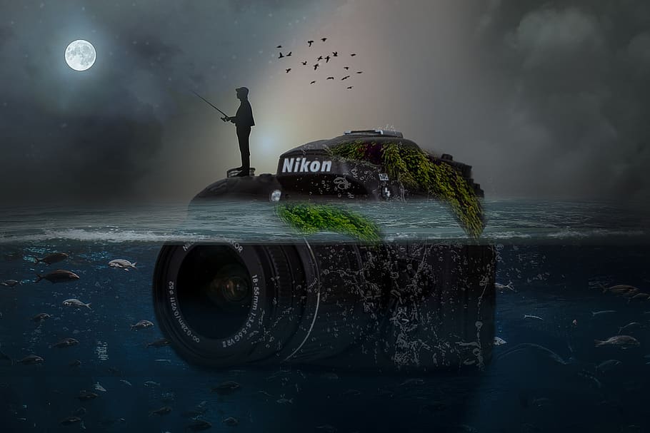 manipulation, camera, nikon, silhouette, fisherman, ocean, fish, birds, water, transportation