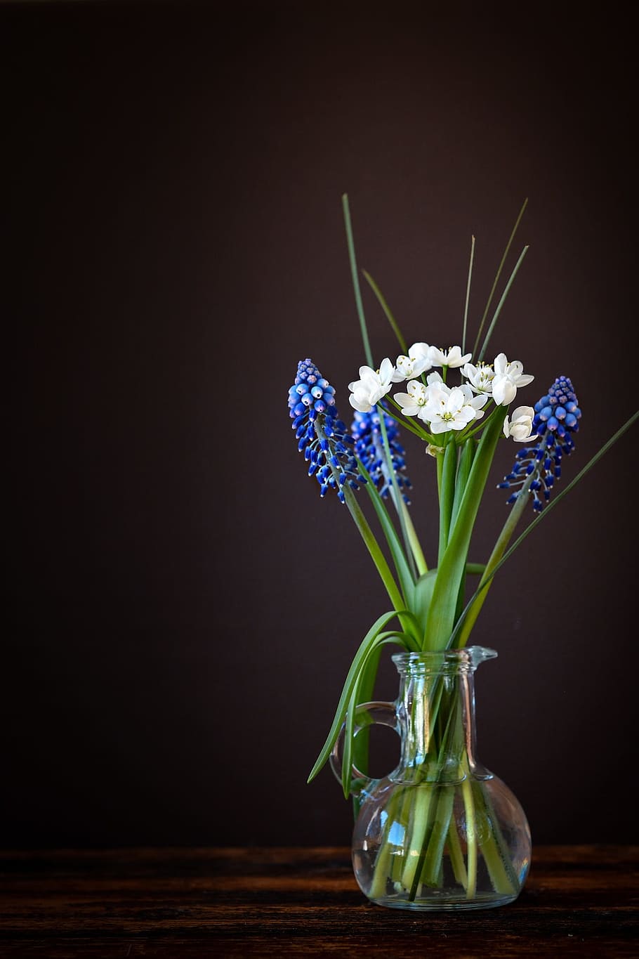 white, petaled flower, clear, glass vase, flowers, vase, glass, leek flower, hyacinth, muscari