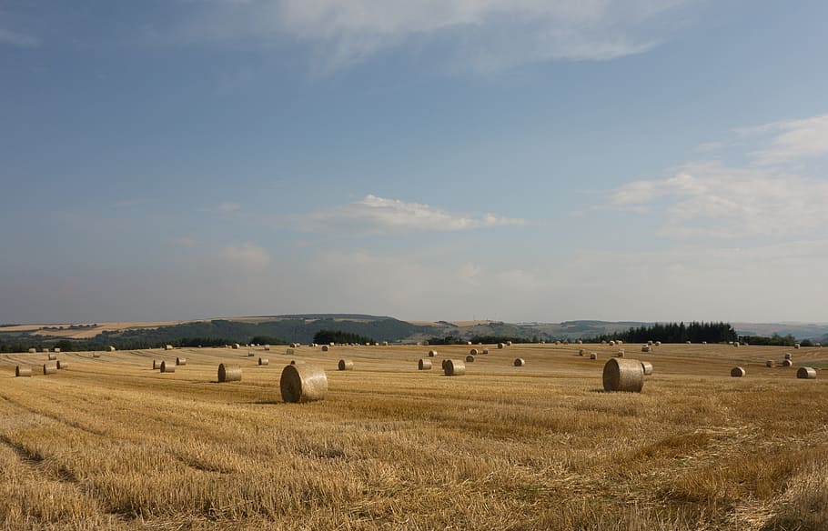 Straw Bales, Field, Meadow, Round, round bales, quadrant, hay, arable, agriculture, landscape