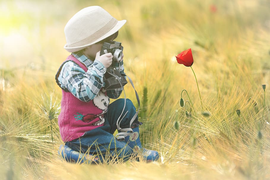 flower, field, child, photography, poppy, flash, plant, hat, flowering plant, nature