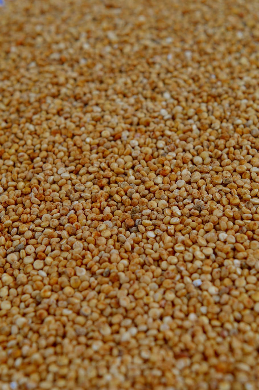 brown grains, quinoa, plenty, cereal, grain, food, ingredient, fiber, protein, full frame