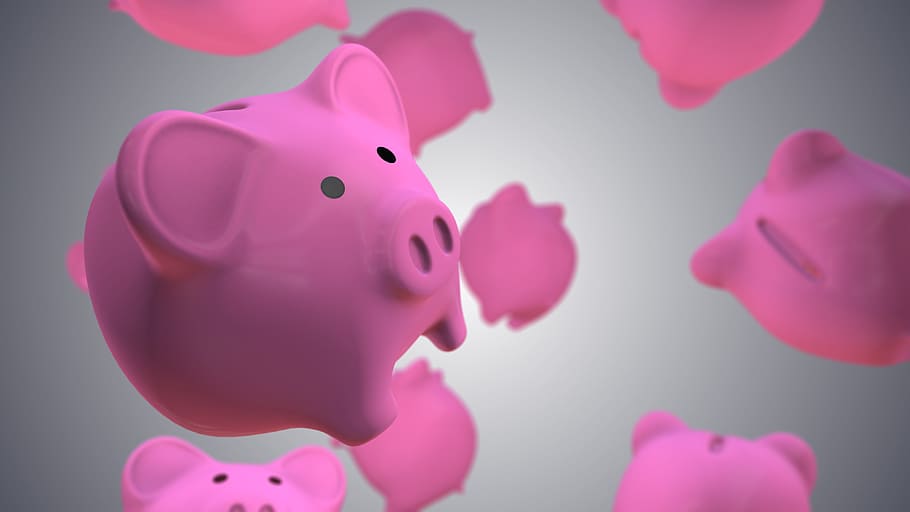 closeup, pink, coin bank, piggy, bank, money, finance, business, banking, currency