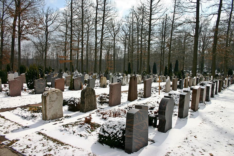 cemetery, woodland cemetery, forest, tree, graves, peaceful, resting place, rest, last calm, grave stones