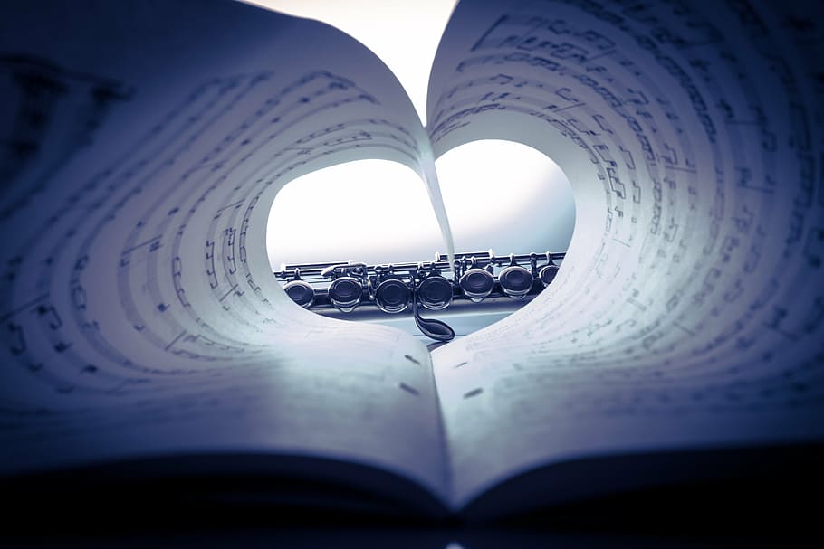 heart-shaped book art, flute, musical instrument, silver plated, music, instrument, classic, transverse flute, love of music, heart
