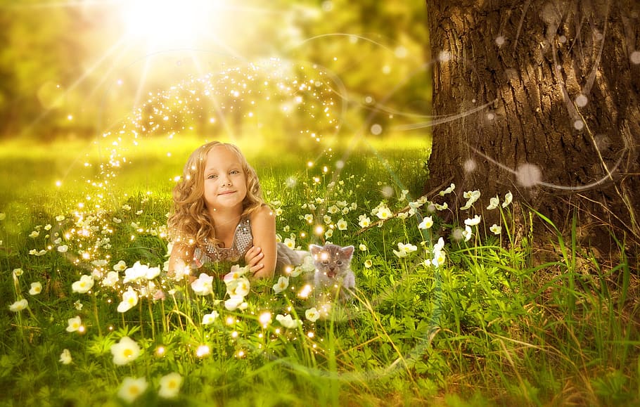toddler, gray, dress, grass field, tree, daytime, girls, cat, sunshine, light