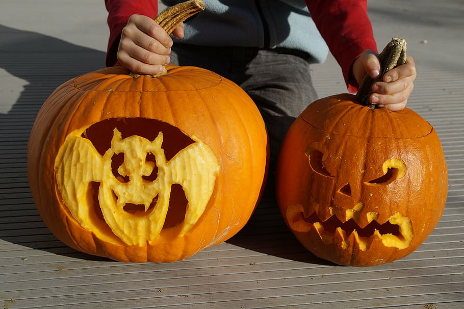 bat, halloween, pumpkin, pumpkin ghost, carved, art, artfully, trick or treat, children, fun