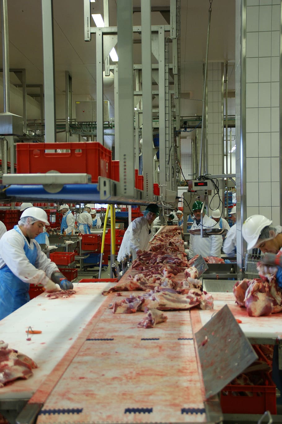 gente, trabajando, dentro, fábrica de carne, carne, carnicería, matadero, carne de res, personas reales, alimentos