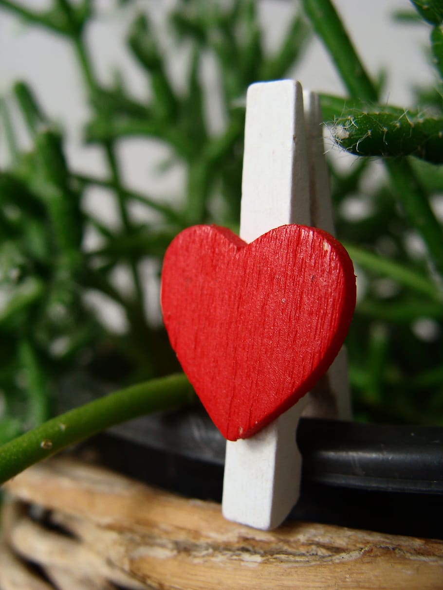 corazón, amor, para, romanticismo, día de san valentín, sentimiento, símbolos, romántico, enamórate de, forma de corazón
