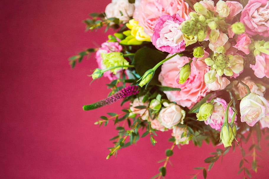 flores de pétalas de rosa e branco, fotografia, rosa, flores, pétala, flor, jardim, planta, natureza, buquê