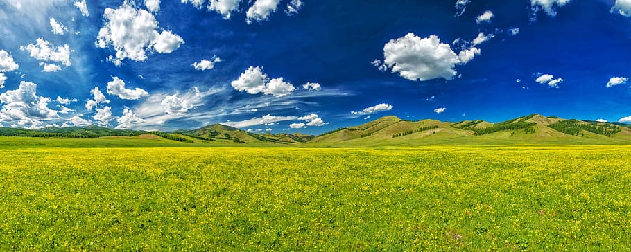 green, grass, front, mountain hills, white, clouds, blue, sky, daytime, green grass