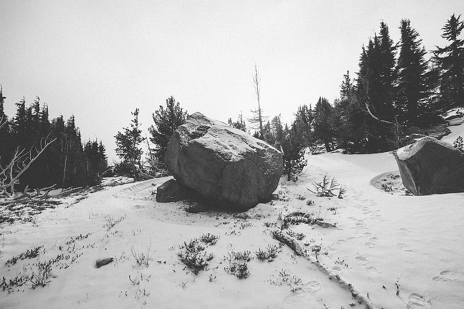 rock, bolder, trees, snow, nature, winter, cold temperature, tree, plant, covering