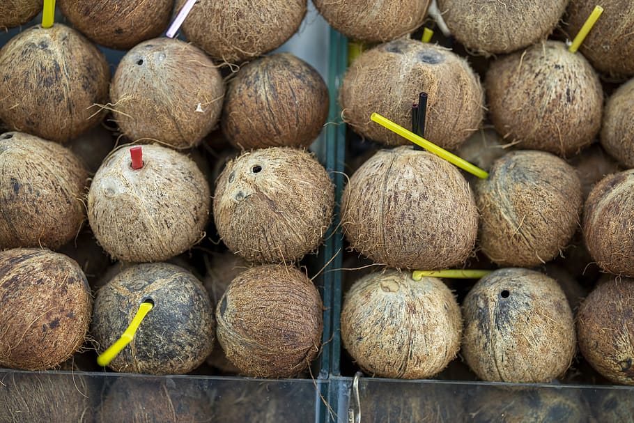 india coconut, juicy, pipette, fruit, delicious, healthy, fresh, natural, tropical, raw
