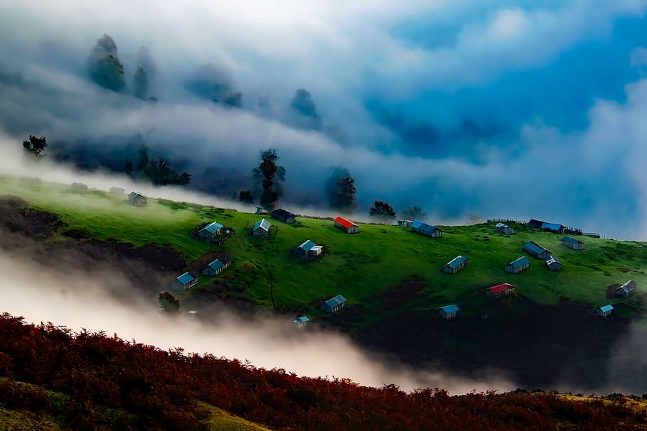 assorted-color houses, green, field, surrounded, smokes, iran, sunrise, dawn, fog, mist
