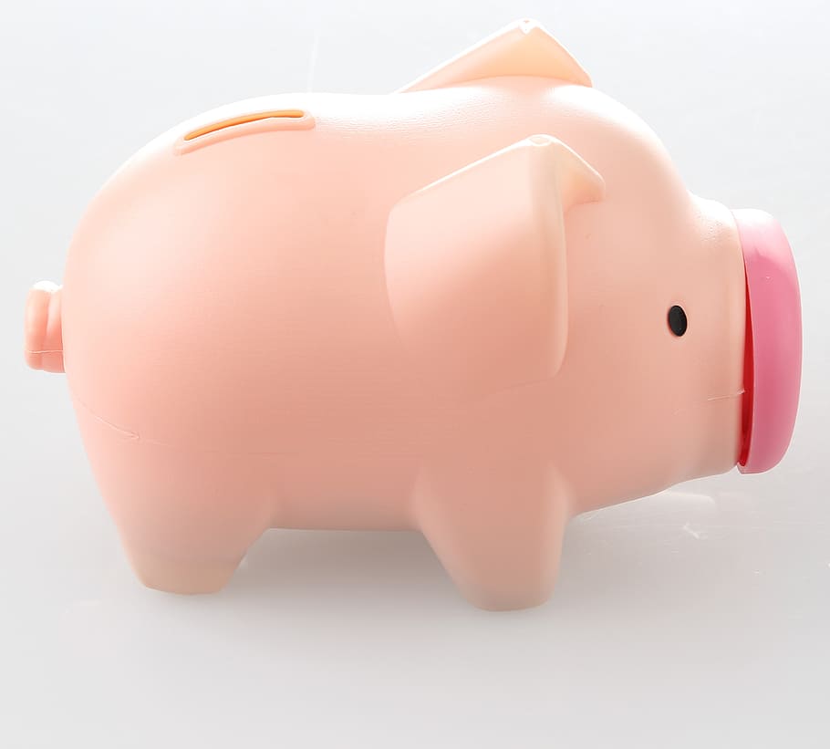 rosa, hucha de monedas, cerdo, hucha, el depósito de dinero, inversión, color rosa, ahorro, fondo blanco, primer plano