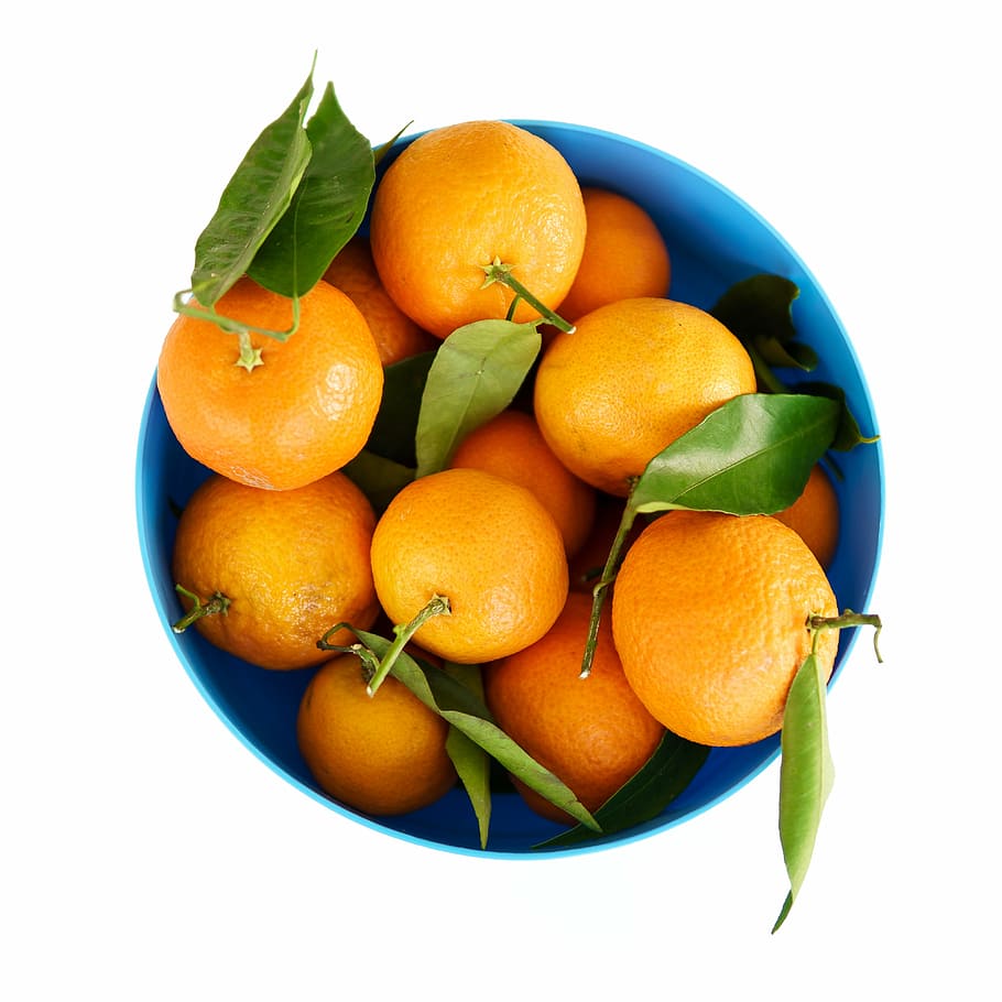 laranja, frutas, tigela, azul, balde, recipiente, fruta, saudável, comida, vitamina