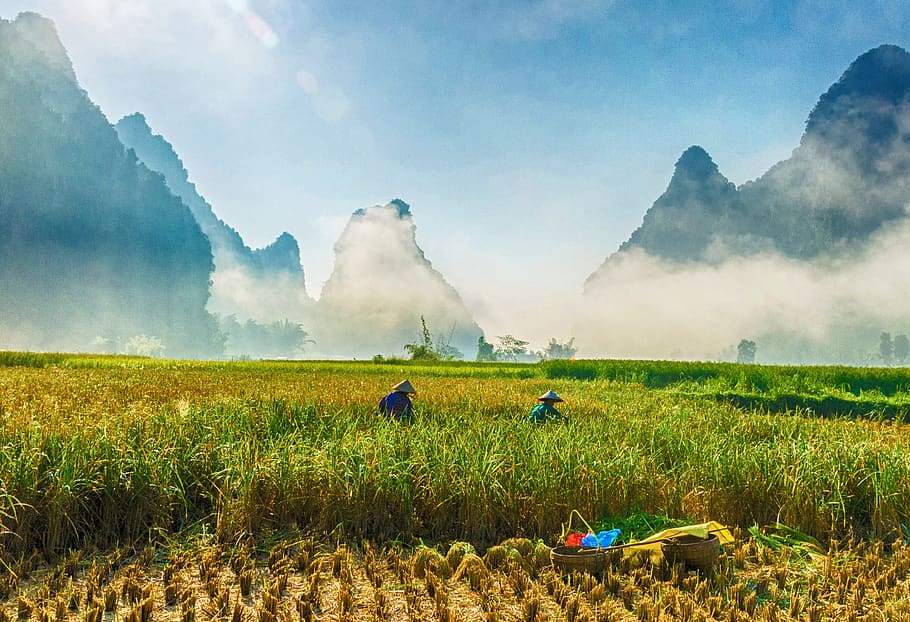 paisaje, paisaje vietnam, montañas, ríos, nubes, sol, arroz, campos, luz, rayo