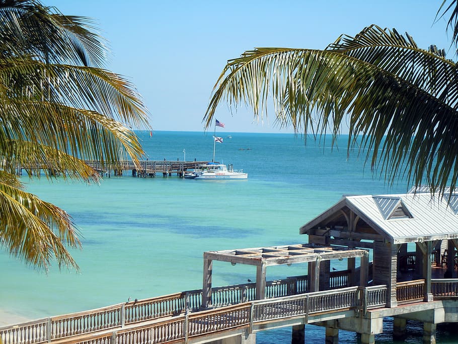 key west, florida, paradise, beach, ocean, sea, vacations, palm Tree, tropical Climate, summer