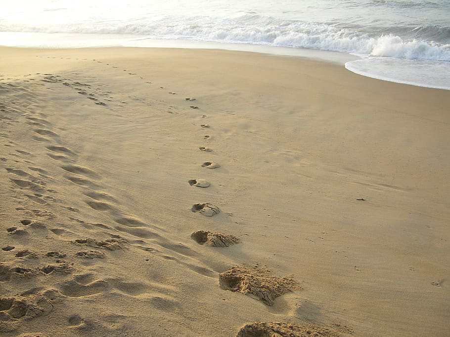 footprints, beach, sand, ocean, coast, tracks, walk, land, water, sea