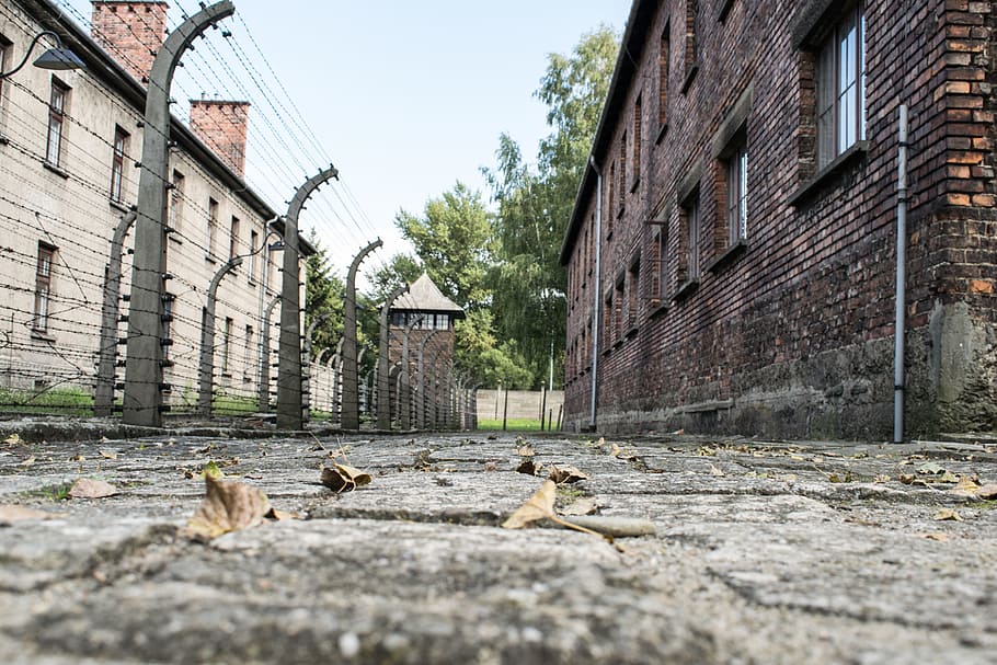 gray, metal fence, brick buildings, daytime, Poland, Auschwitz, Architecture, Museum, security, tourist destination