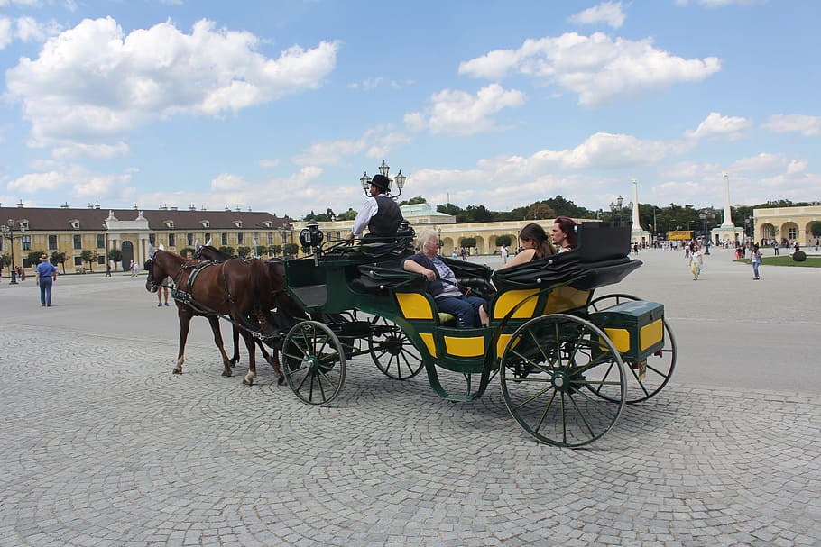 tourism, horse, travel, people, carriage, vienna, outdoors, domestic animals, domestic, livestock