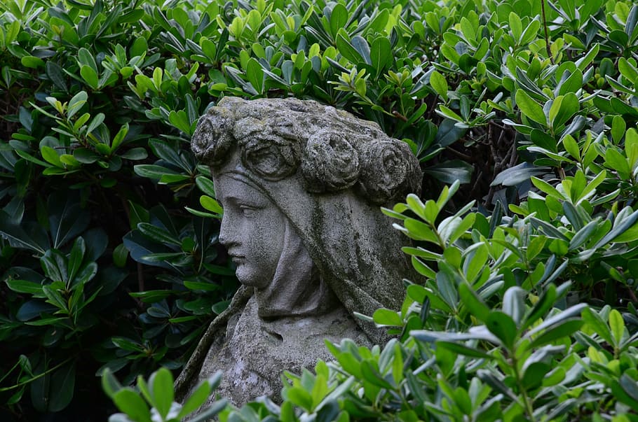 statue, madonna, stone, sculptor, historically, italy, sculpture, plant, plant part, leaf