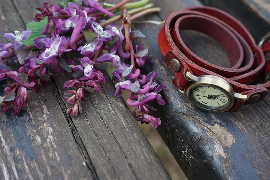 Vintage, merah, menonton, jam tangan, ungu, bunga-bunga, kayu, bangku, musim panas, alam