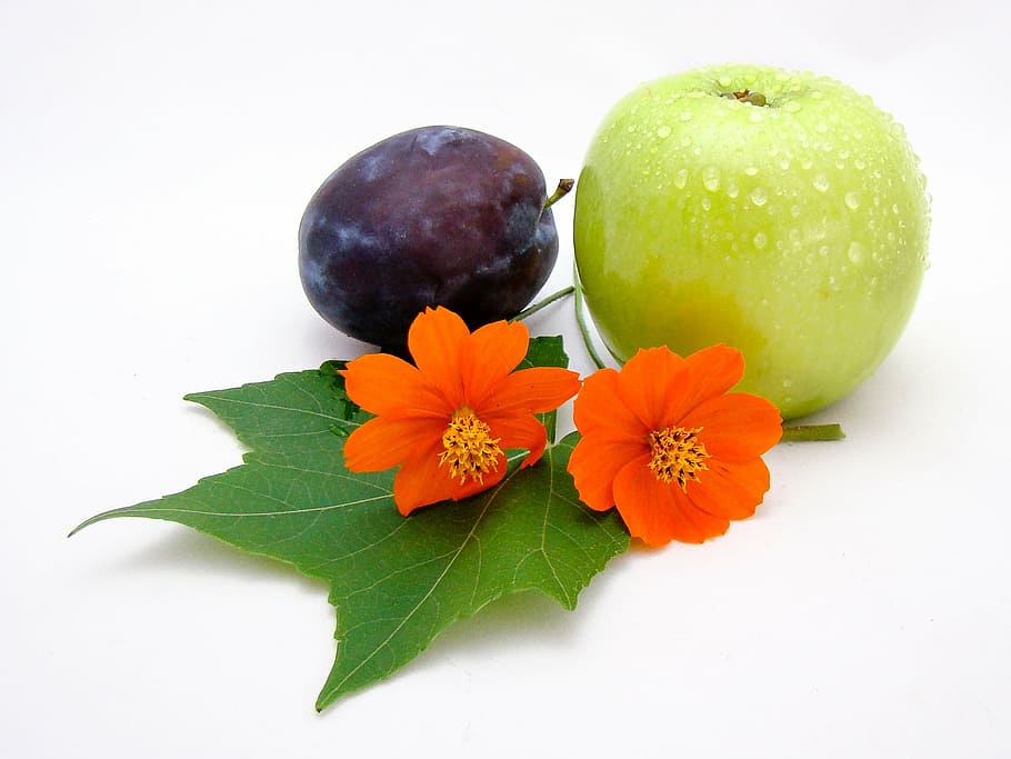 buah, bunga, prem, apel, hijau, oranye, putih, mekar, apel - Buah, kesegaran