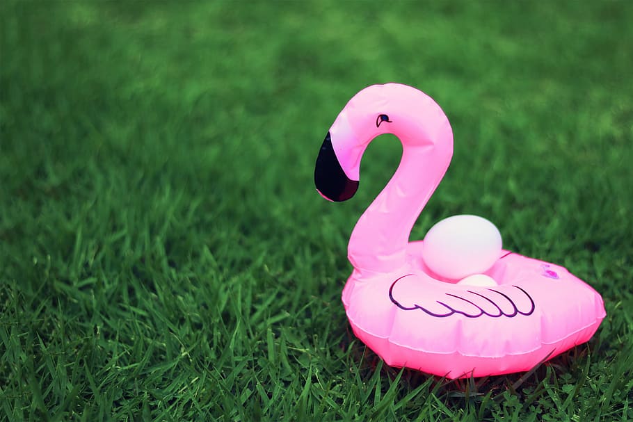 pink, inflatable flamingo, green, grass field, inflatable, flamingo, green grass, pink Color, outdoors, grass