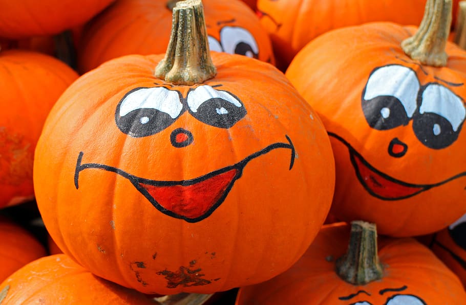 Jack-'o-lantern lot, calabazas, hokkaido, otoño, octubre, cosecha, verduras, naranja, colorido, halloween