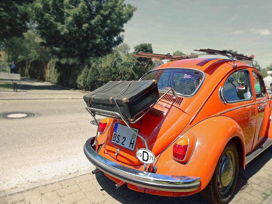 orange, volkswagen beetle coupe, green, leafed, trees, Old, Past, Antique, Nostalgia, Auto