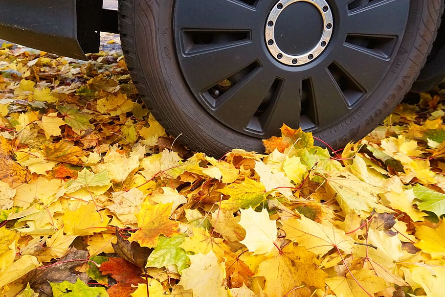 auto, autumn, fall leaves, leaves, mature, wheel, rim, nature, vehicle, road