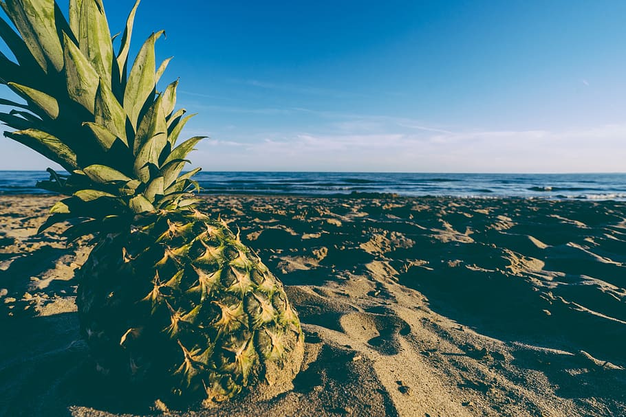 pineapple on sand, beach, blue sky, fruit, horizon, lake, ocean, pineapple, sand, sea