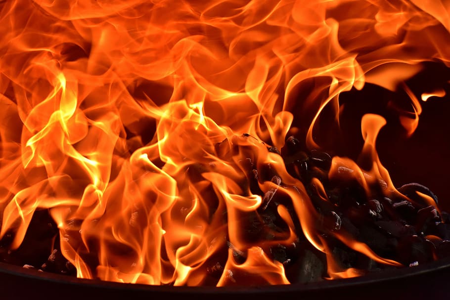 fotografia de close-up, fogo, chama, carbono, queimadura, quente, humor, fogueira, lareira, ardente