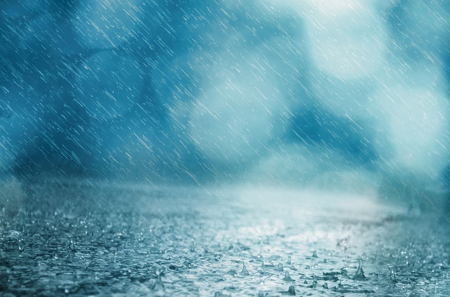 untitled, rain, background, drop, weather, water, storm, shower, falling, pond