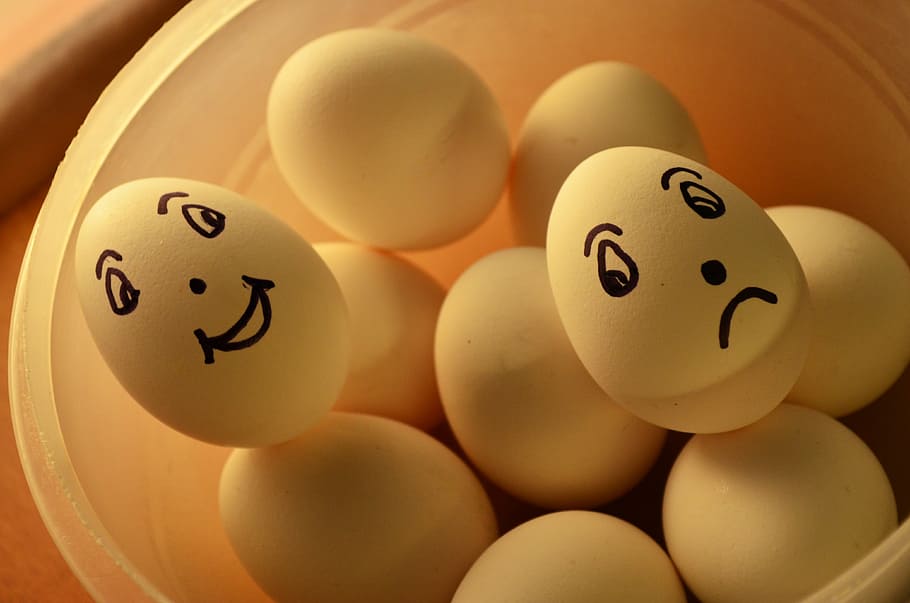 white, eggs, clear, plastic container, expression, happy, sad, emoticons, funny, egg