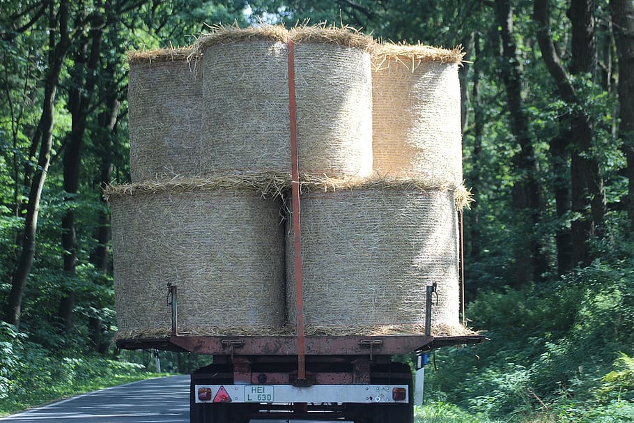 bale, straw bales, agriculture, cattle feed, wrapped up, round bales, stock, single hull, feed stock, straw role