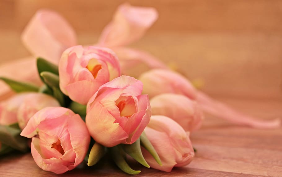 bouquet, pink, peony, tulips, tulipa, flowers, schnittblume, breeding tulip, spring, early bloomer