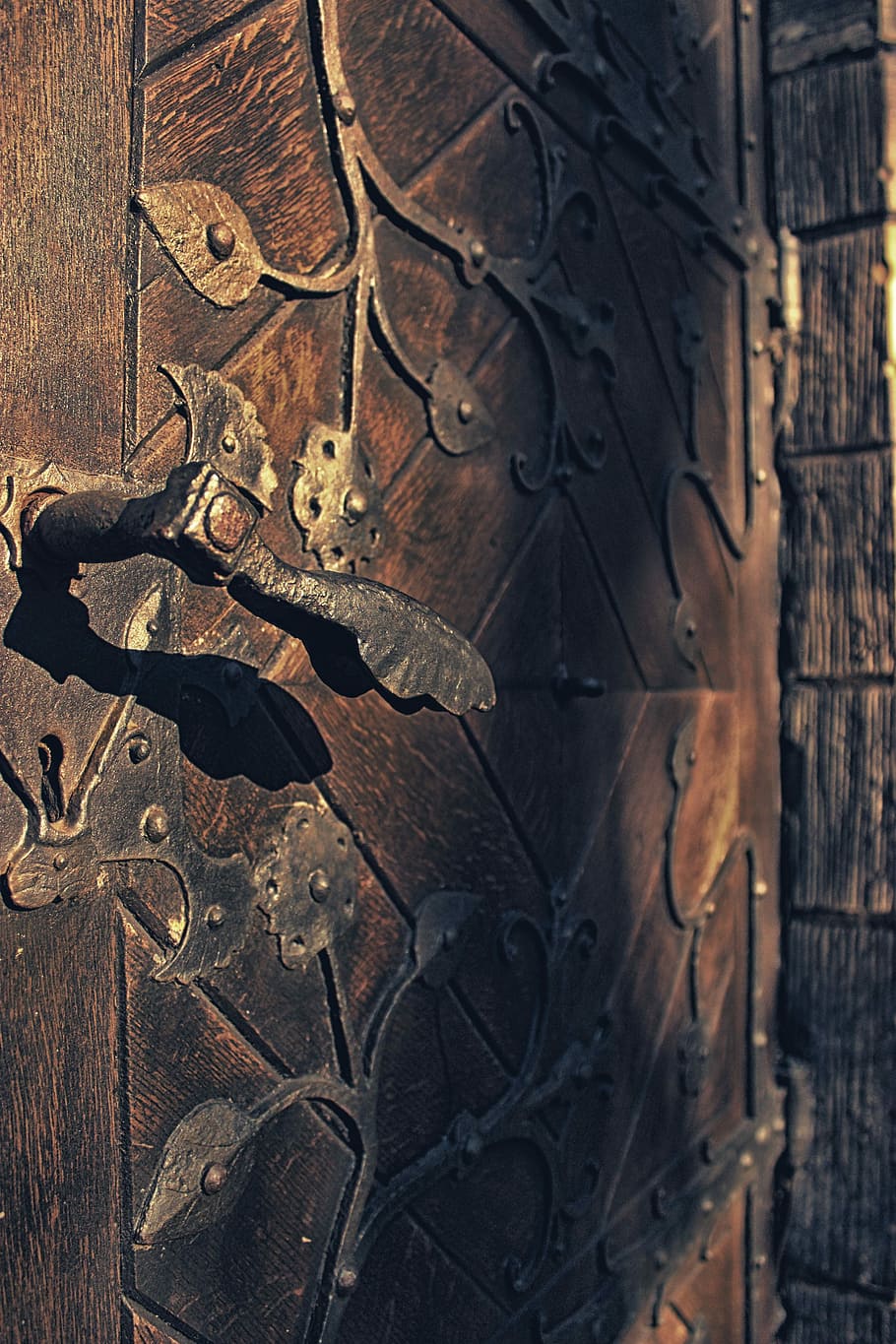 Antigua puerta de hierro pintado de marrón con cerraduras metálicas. de  cerca. vertical.