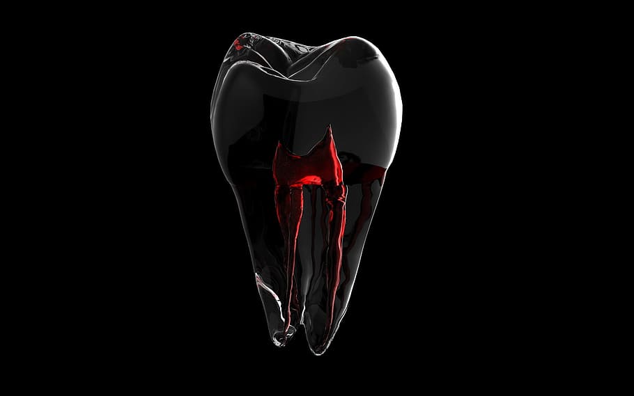 diente, modelo 3d, raíz, fondo negro, tiro del estudio, ninguna gente, quema, en el interior, espacio de la copia, rojo