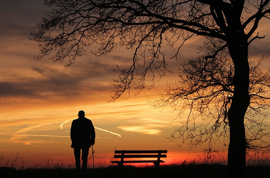 silhouette, person, cane, bench, sunset, tree, dusk, lonely, abendstimmung, mood