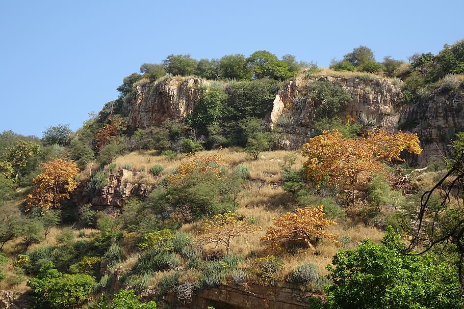 mountain, aravalli range, rock, cliff, landscape, nature, tourism, outdoors, flora, rajasthan