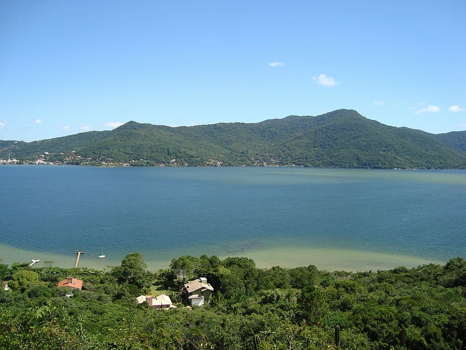 brasil, santa catarina, mar, naturaleza, montaña, verano, paisaje, agua, pintorescos - naturaleza, planta