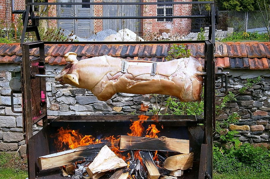 roasted pig, suckling pig, meat, pig, grill, eat, bbq, barbecue, spit, grilled