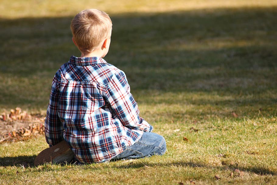 boy, sitting, green, grass, young, kid, sun, meadow, child, boys