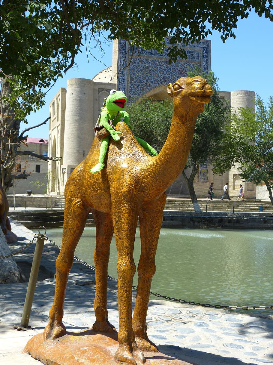camel, figure, pond, water storage, labi hauz, bukhara, kermit, frog, ride, uzbekistan